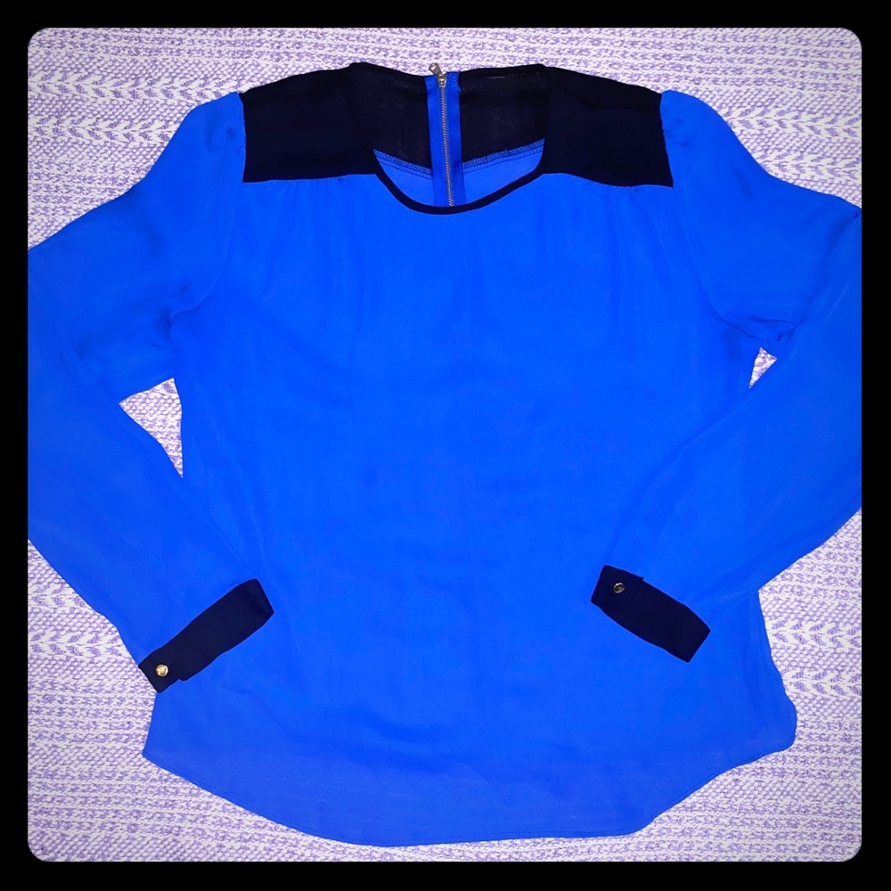 Royal Blue and Black Sheer Blouse